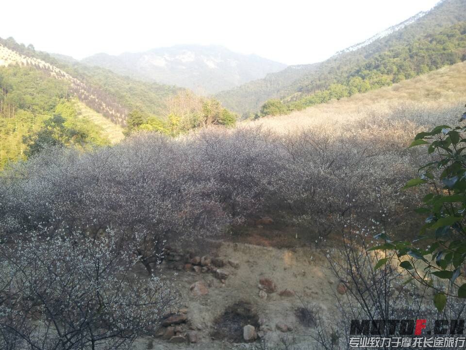 QQ图片20140123225629.jpg