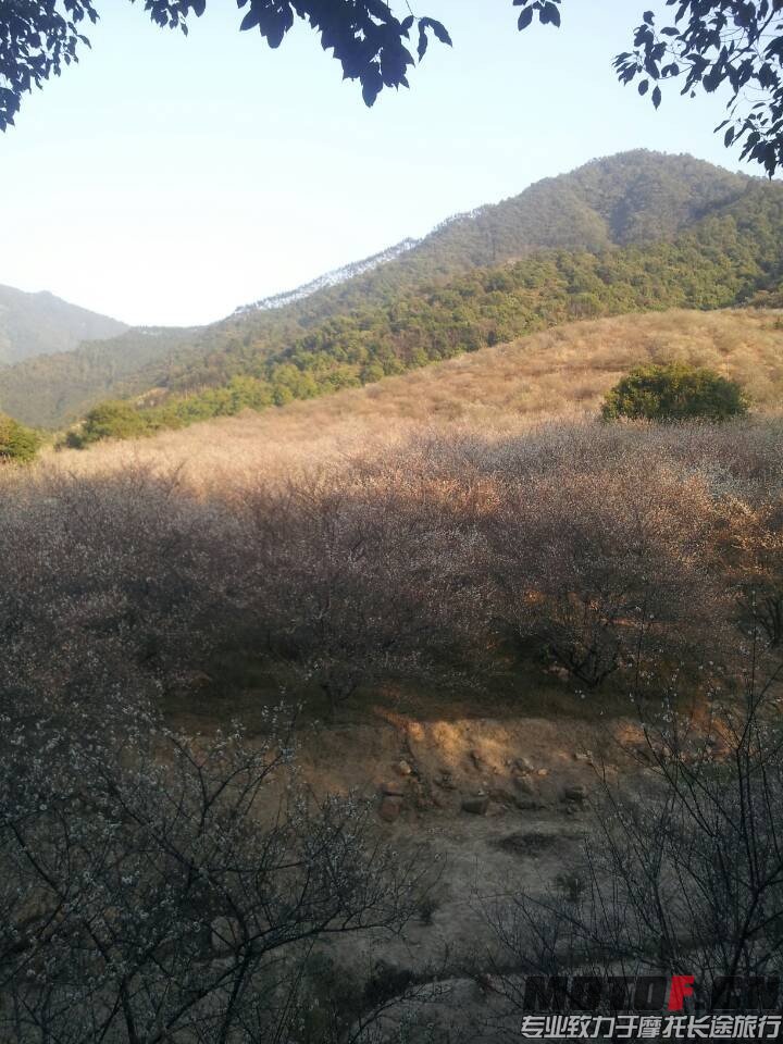 QQ图片20140123225632.jpg