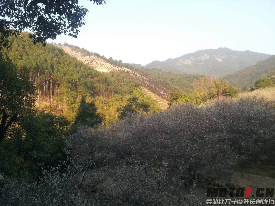 QQ图片20140123225639.jpg