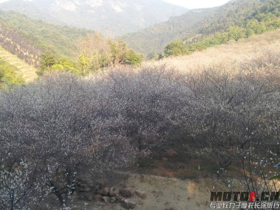 QQ图片20140123225641.jpg