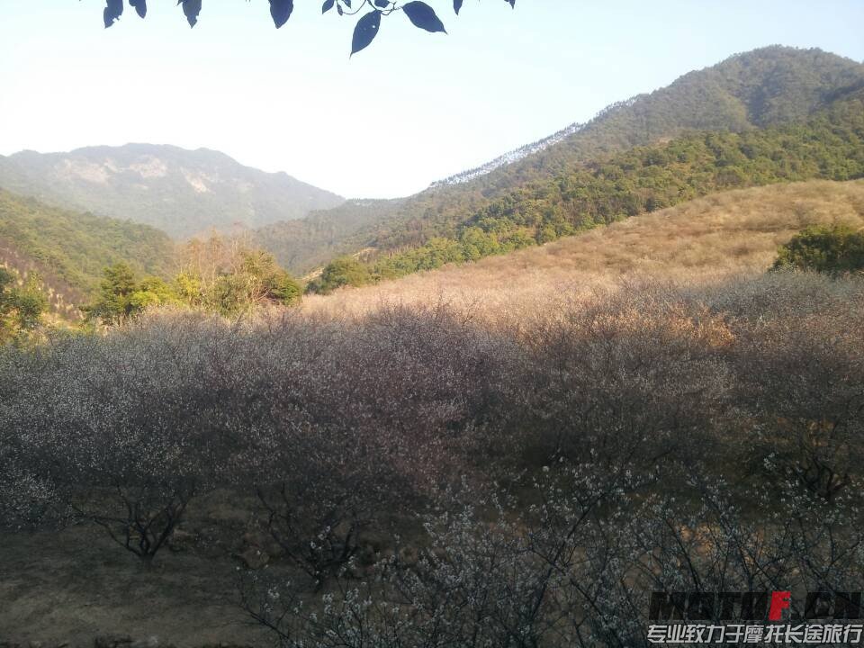 QQ图片20140123225645.jpg