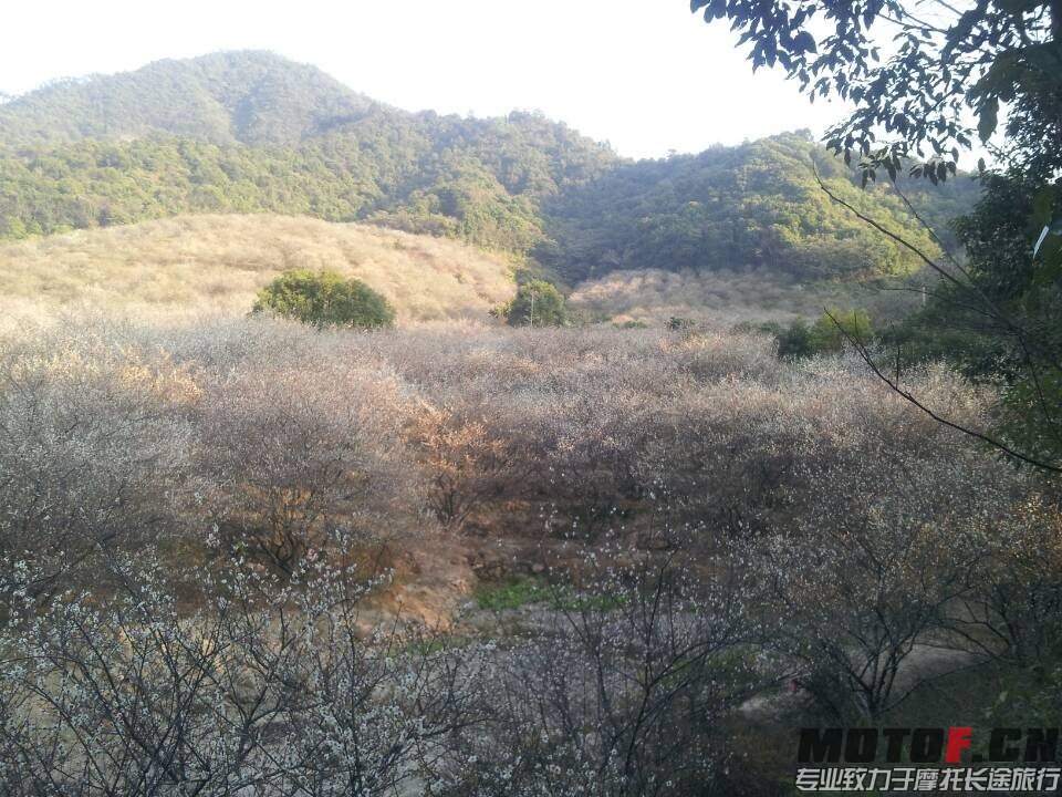 QQ图片20140123225648.jpg