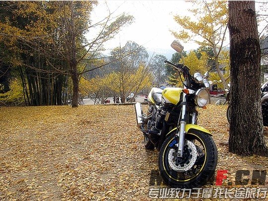 QQ图片20140125111812.jpg
