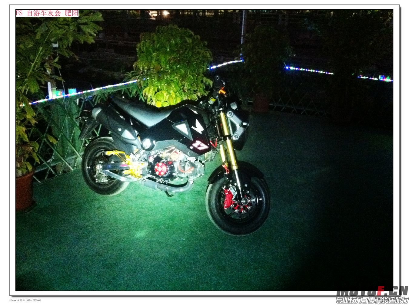 nEO_IMG_IMG_5533.jpg