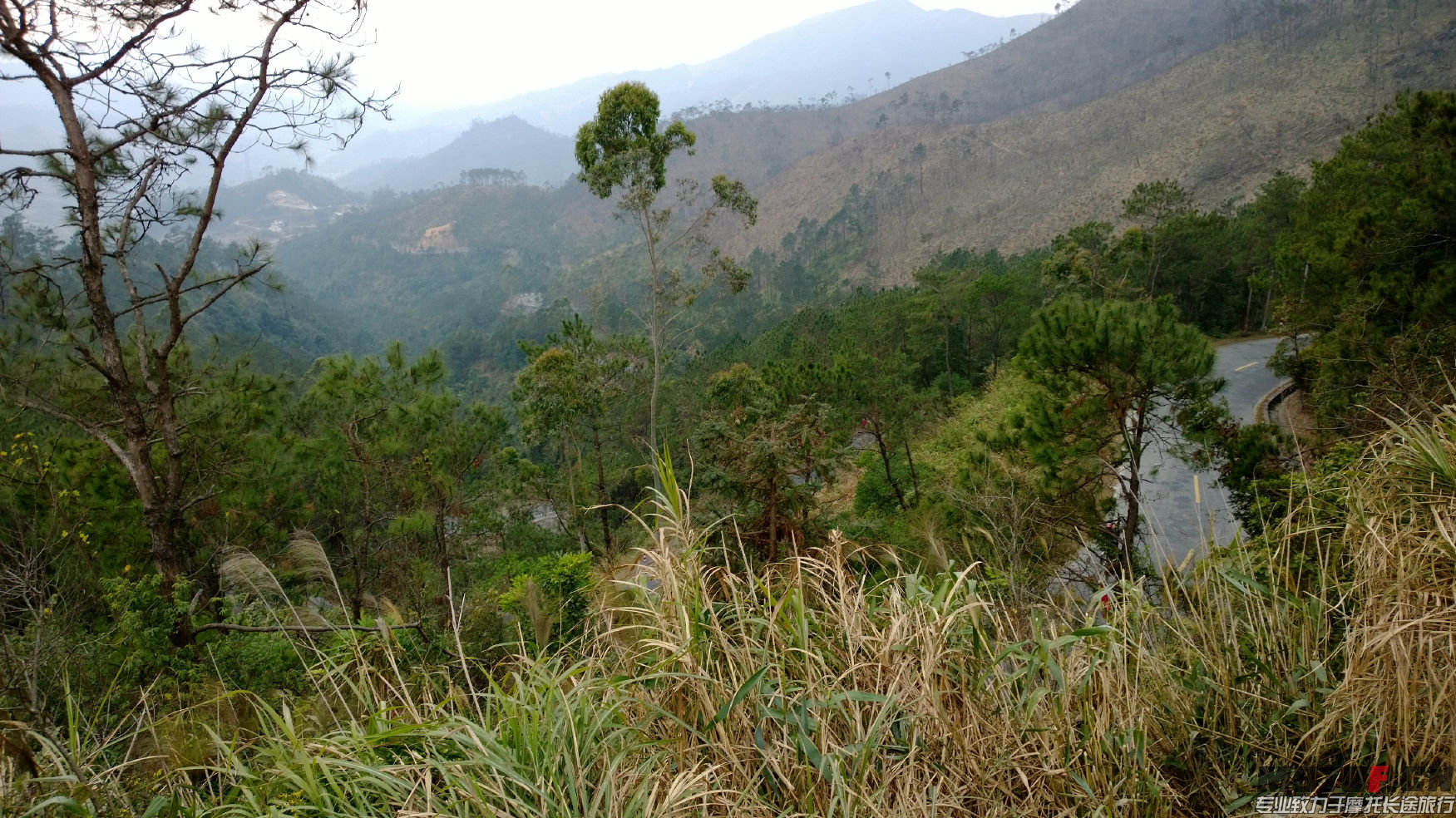 WP_20140128_14_54_56_Pro.jpg