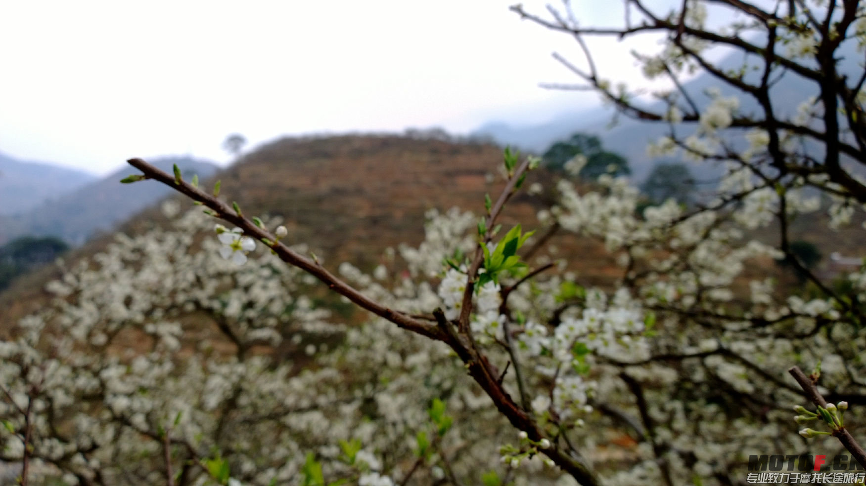 WP_20140128_16_32_46_Pro.jpg