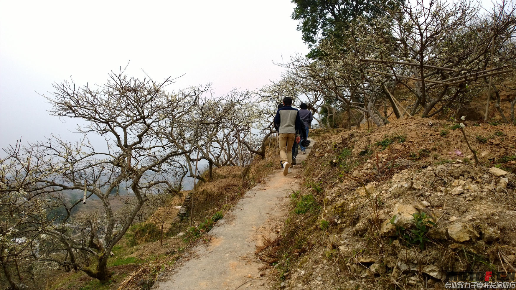 WP_20140128_16_33_05_Pro.jpg