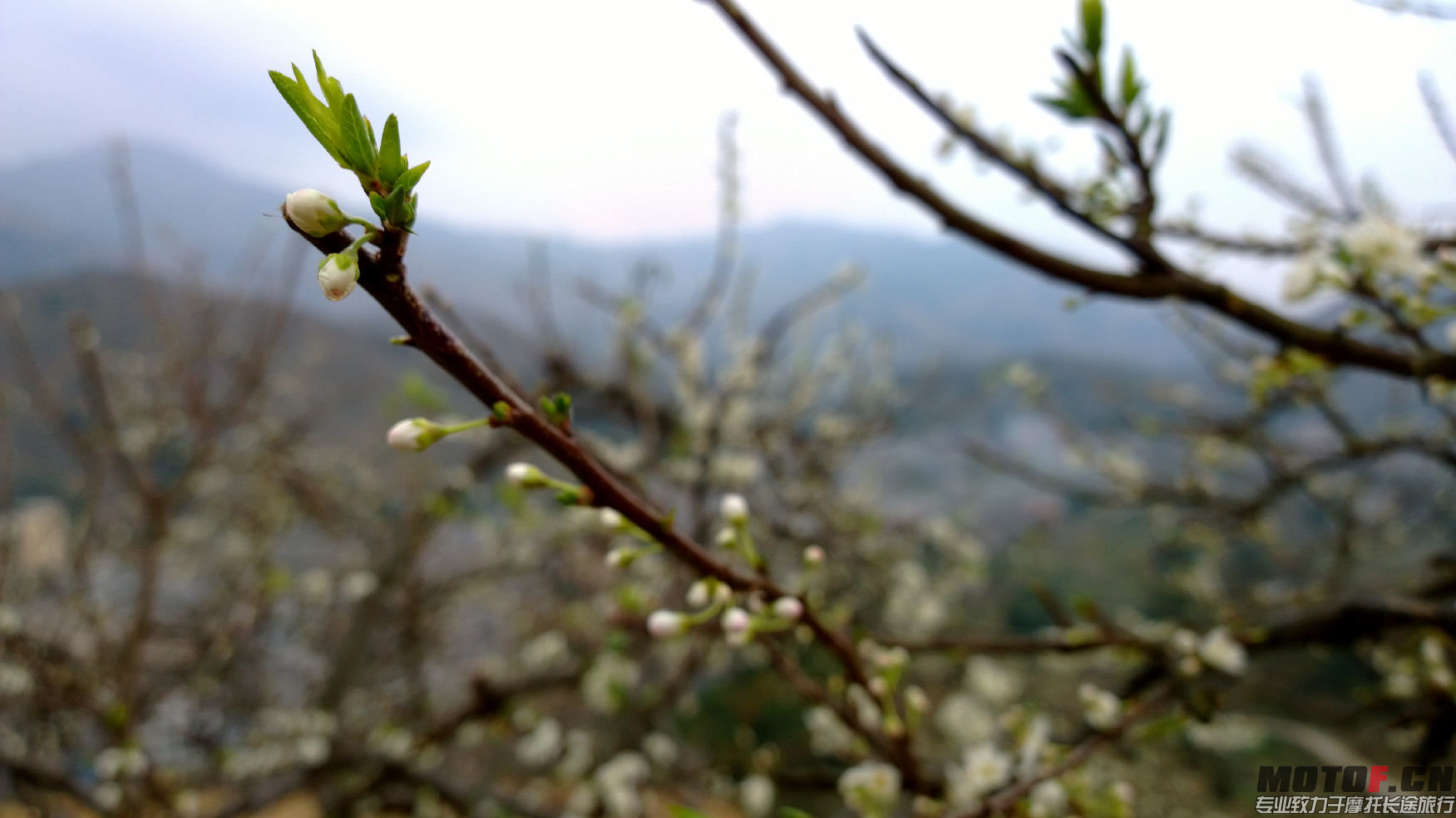 WP_20140128_16_42_33_Pro.jpg