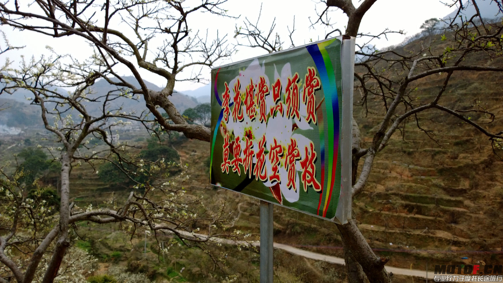 WP_20140128_16_53_40_Pro.jpg