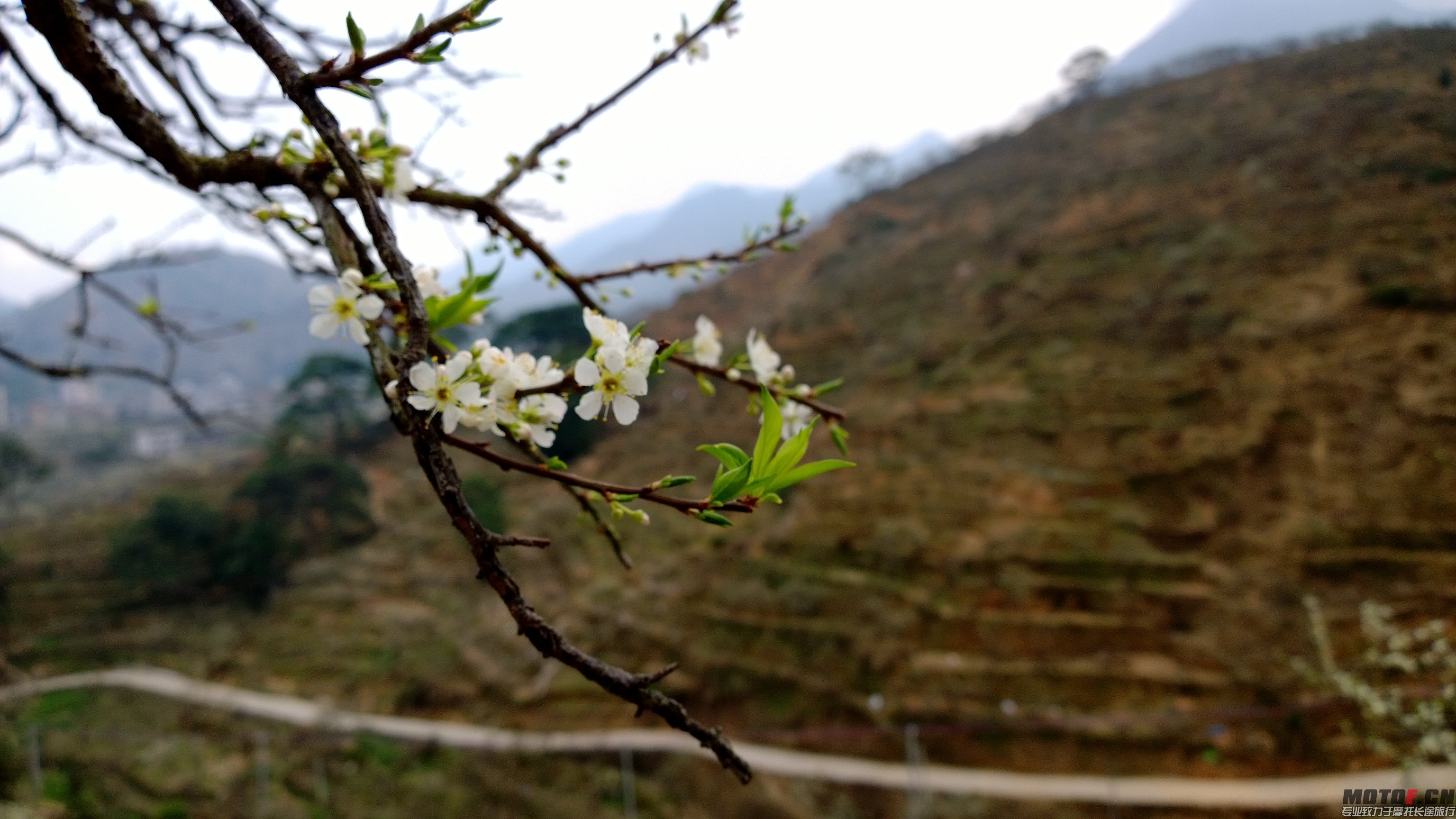 WP_20140128_16_54_02_Pro.jpg
