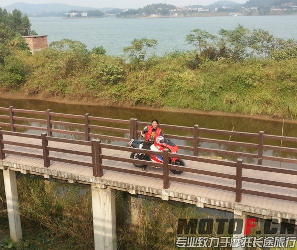 长毛.jpg