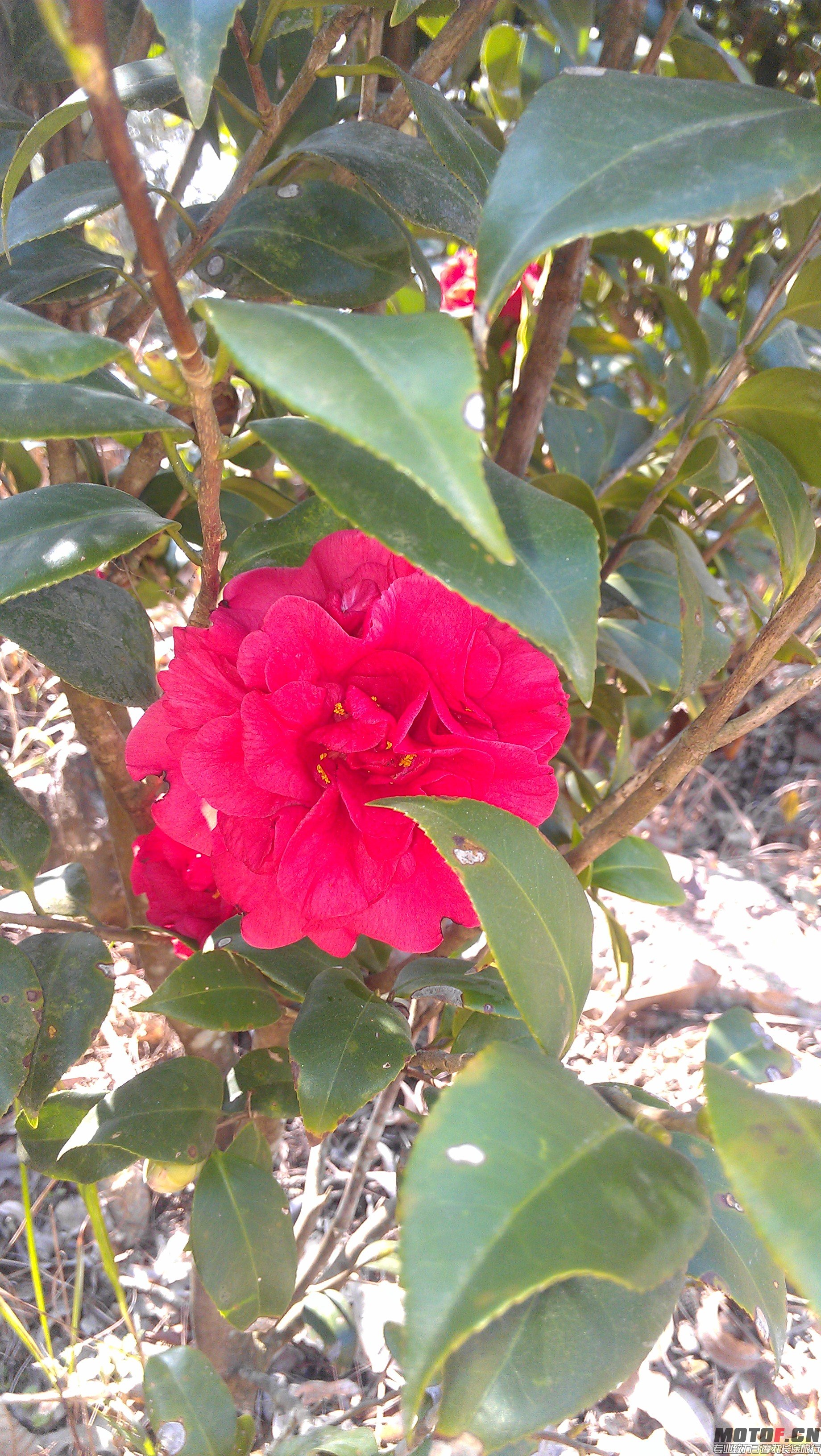 IMAG3287.jpg