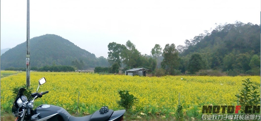 QQ图片20140207185735.jpg