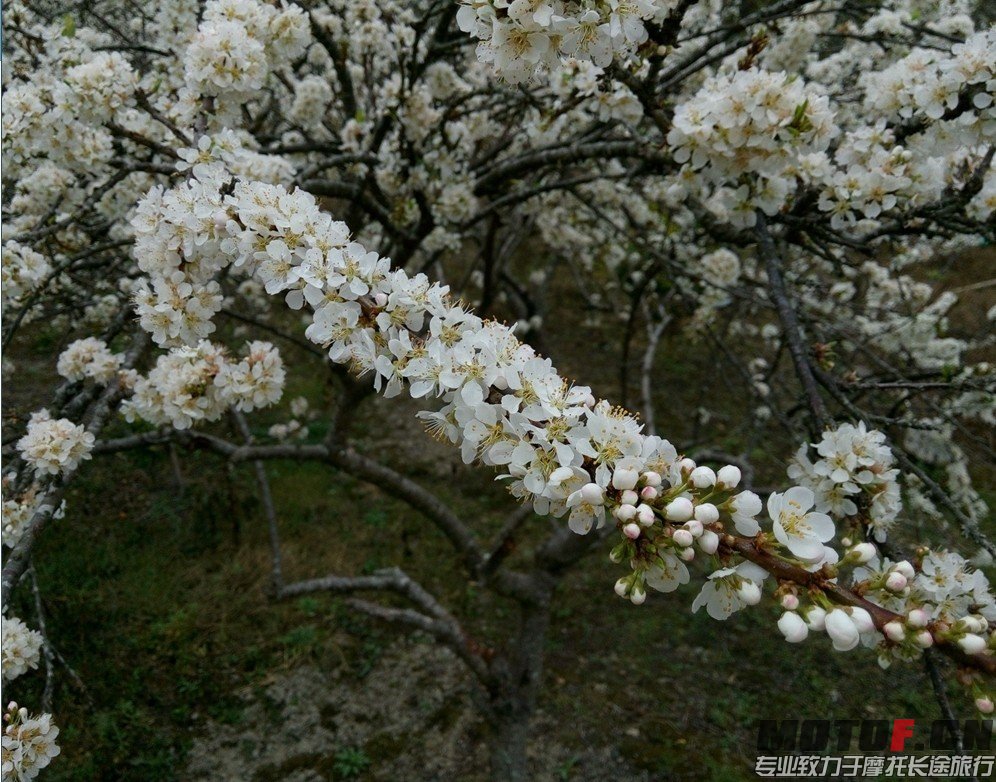 QQ图片20140207190220.jpg