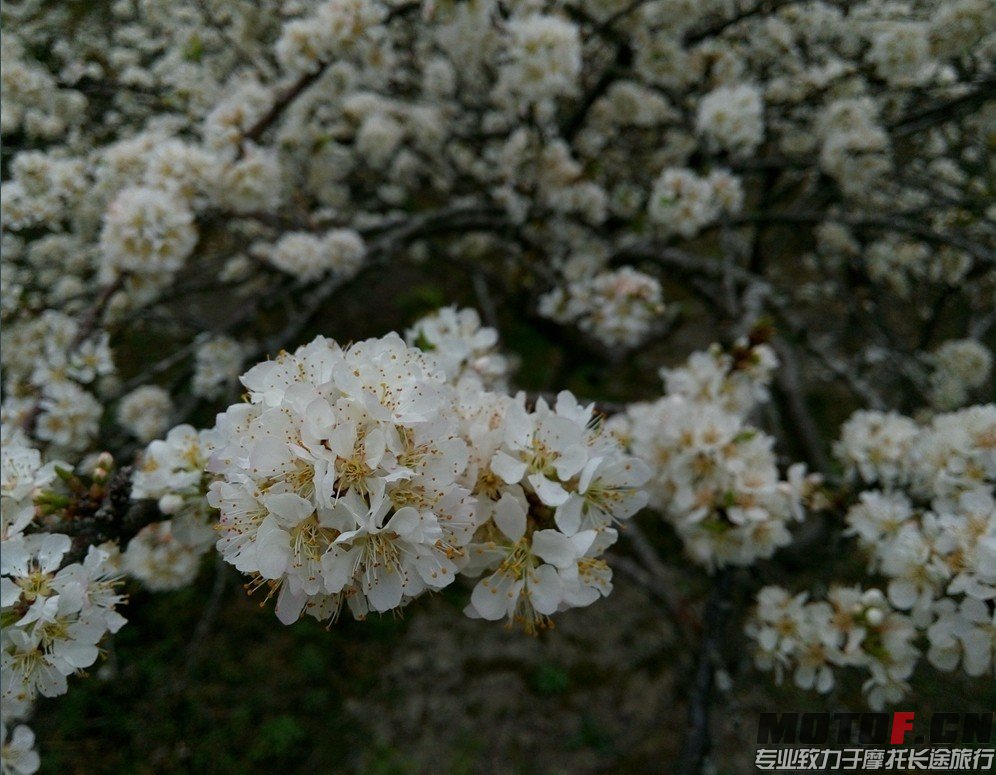 QQ图片20140207190228.jpg