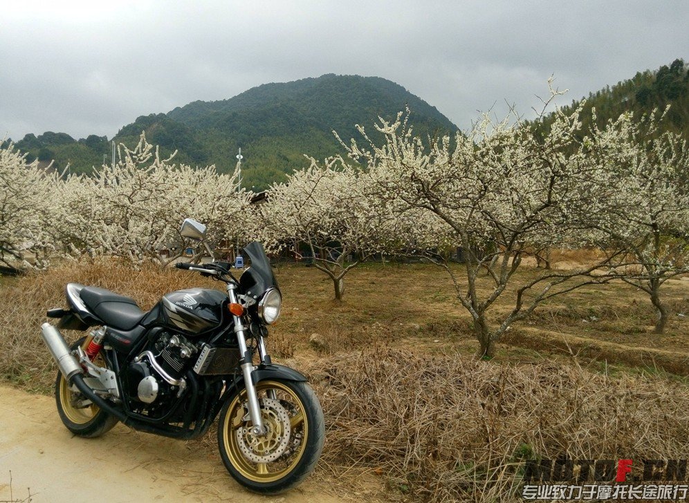 QQ图片20140207190248.jpg