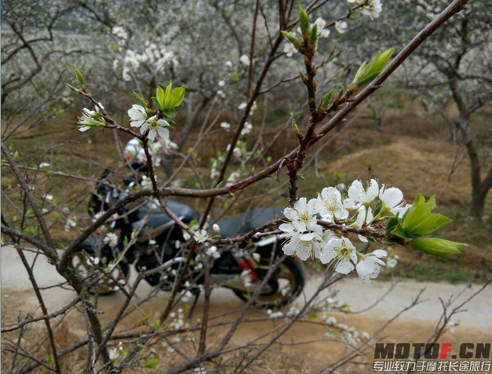 QQ图片20140207190311.jpg