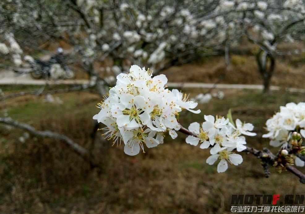 QQ图片20140207190333.jpg