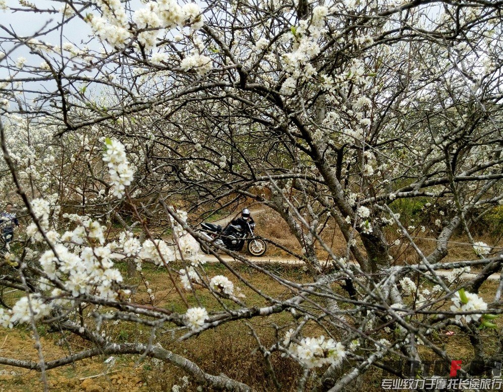 QQ图片20140207190342.jpg