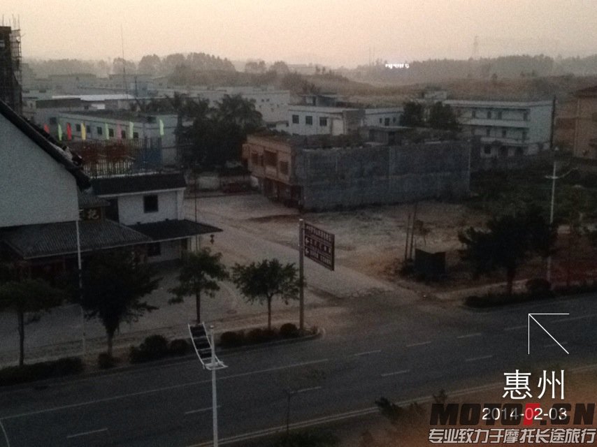 原因只是鸡动了