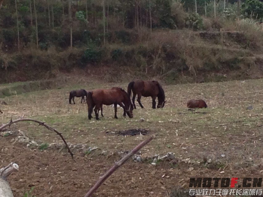 QQ图片20140208095257.jpg