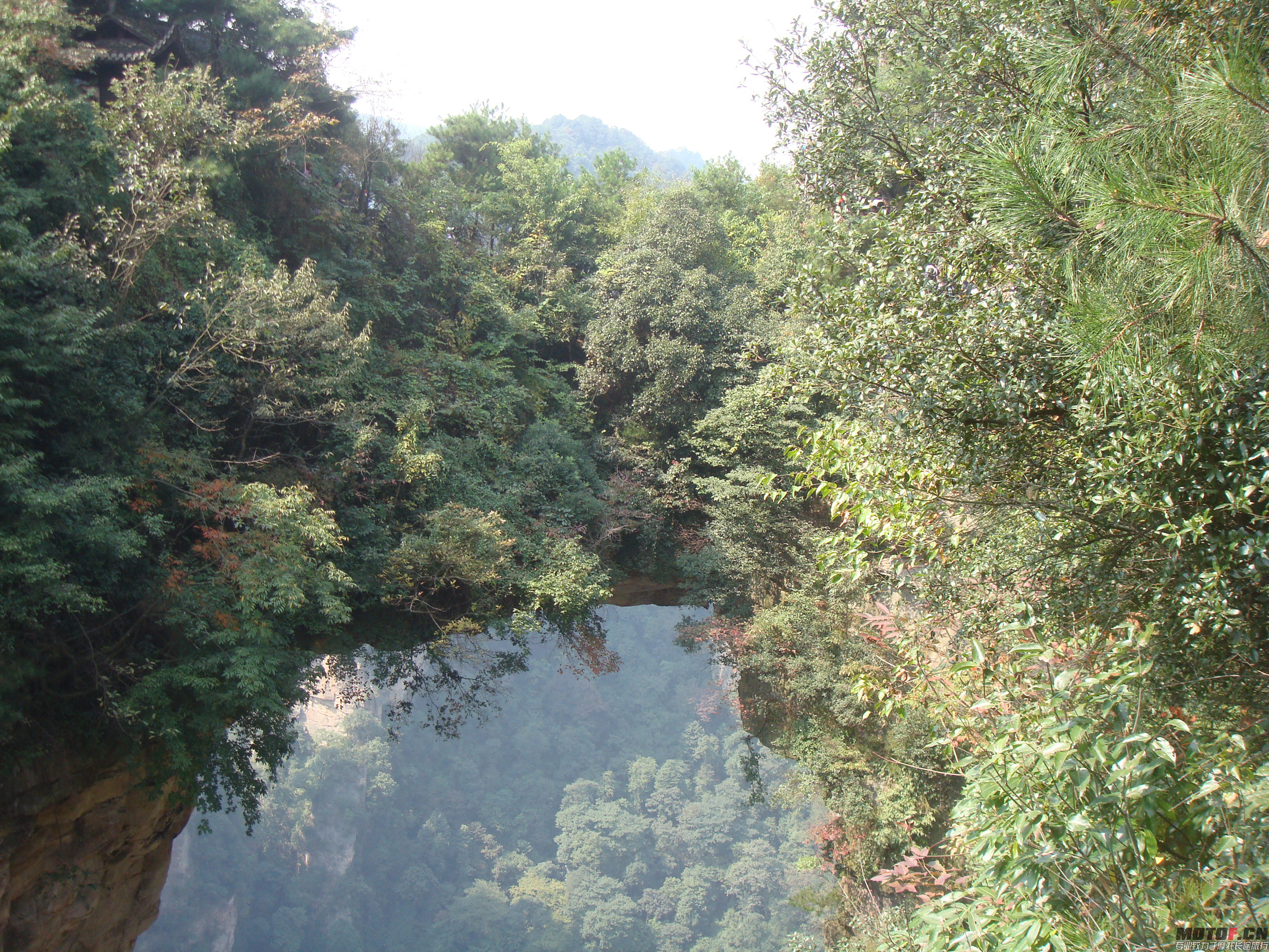 DSC03574.JPG