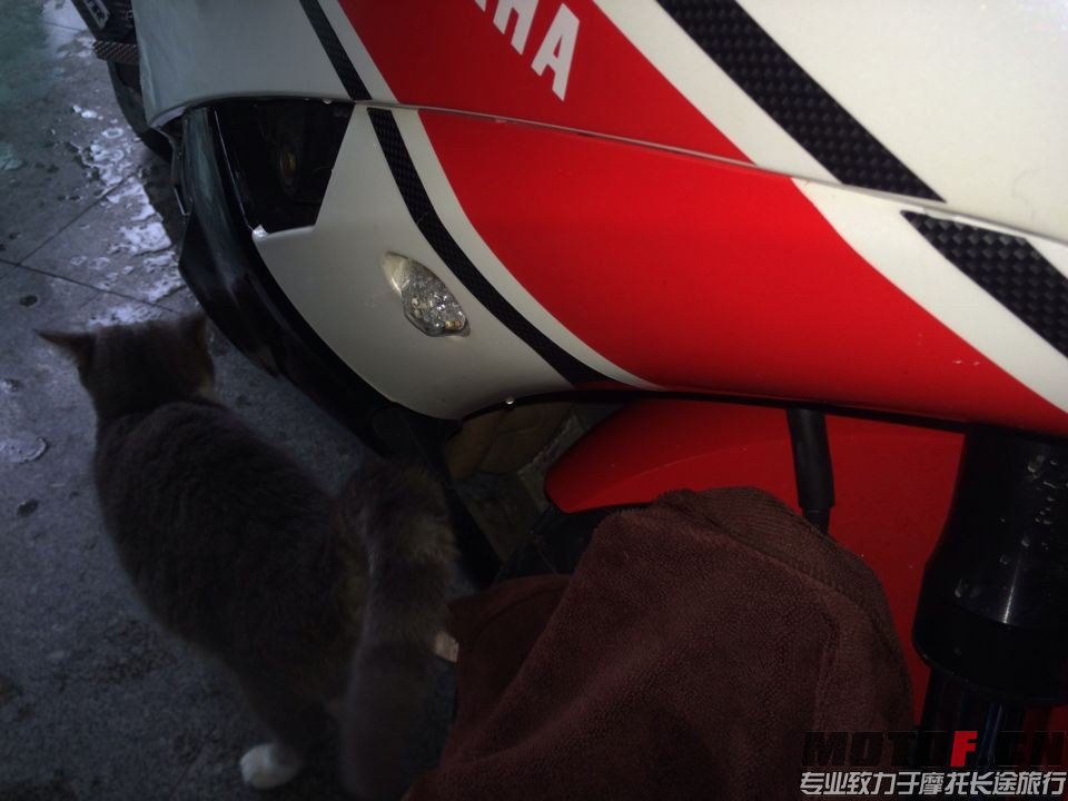 QQ图片20140210144948.jpg