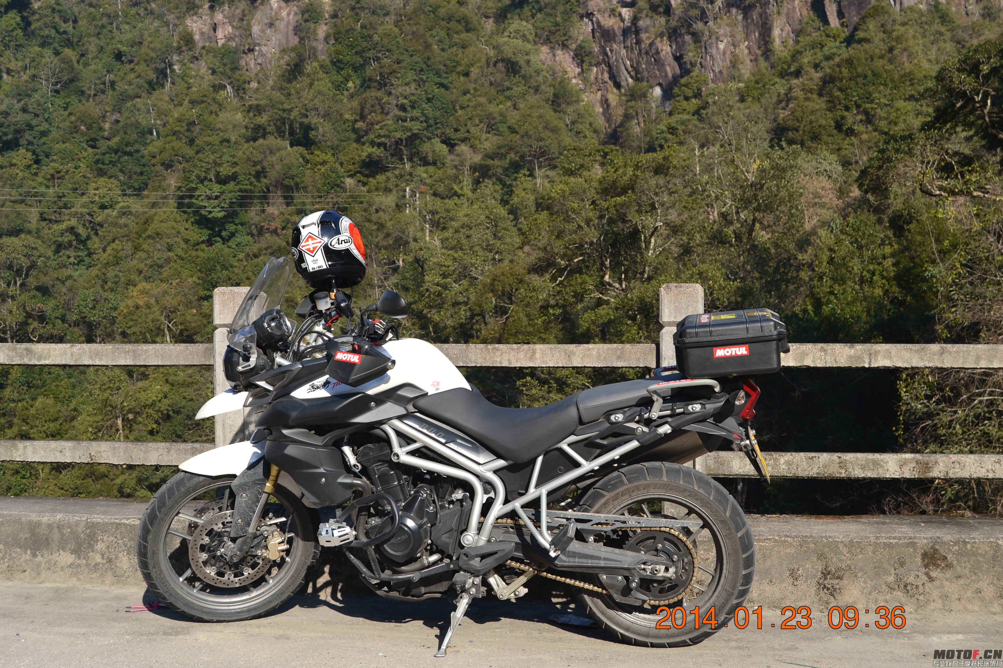 DSC_1508.jpg