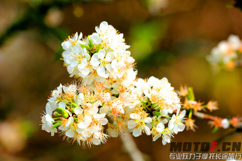照片 684_副本.jpg