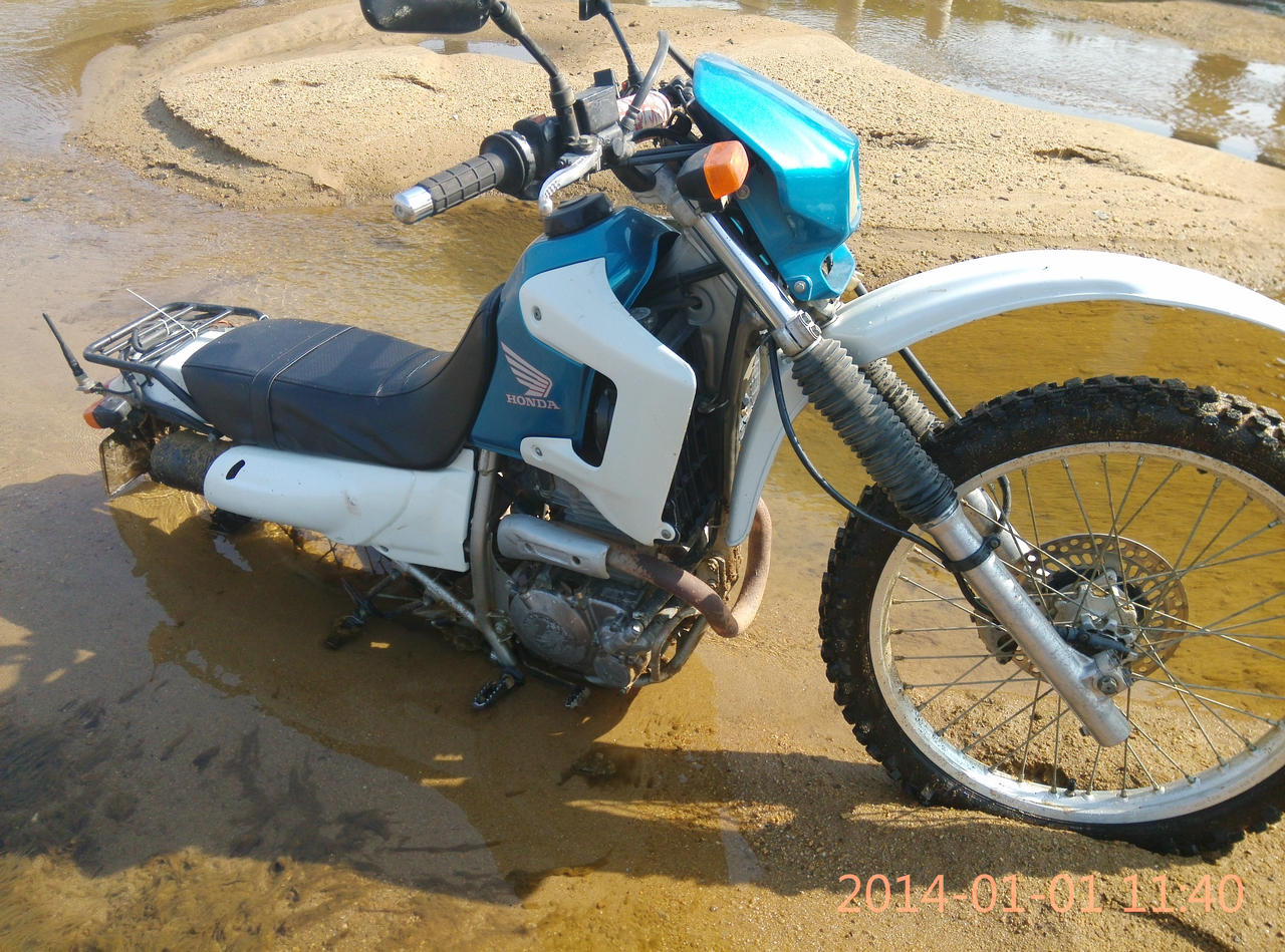 IMG_20140101_114015.jpg