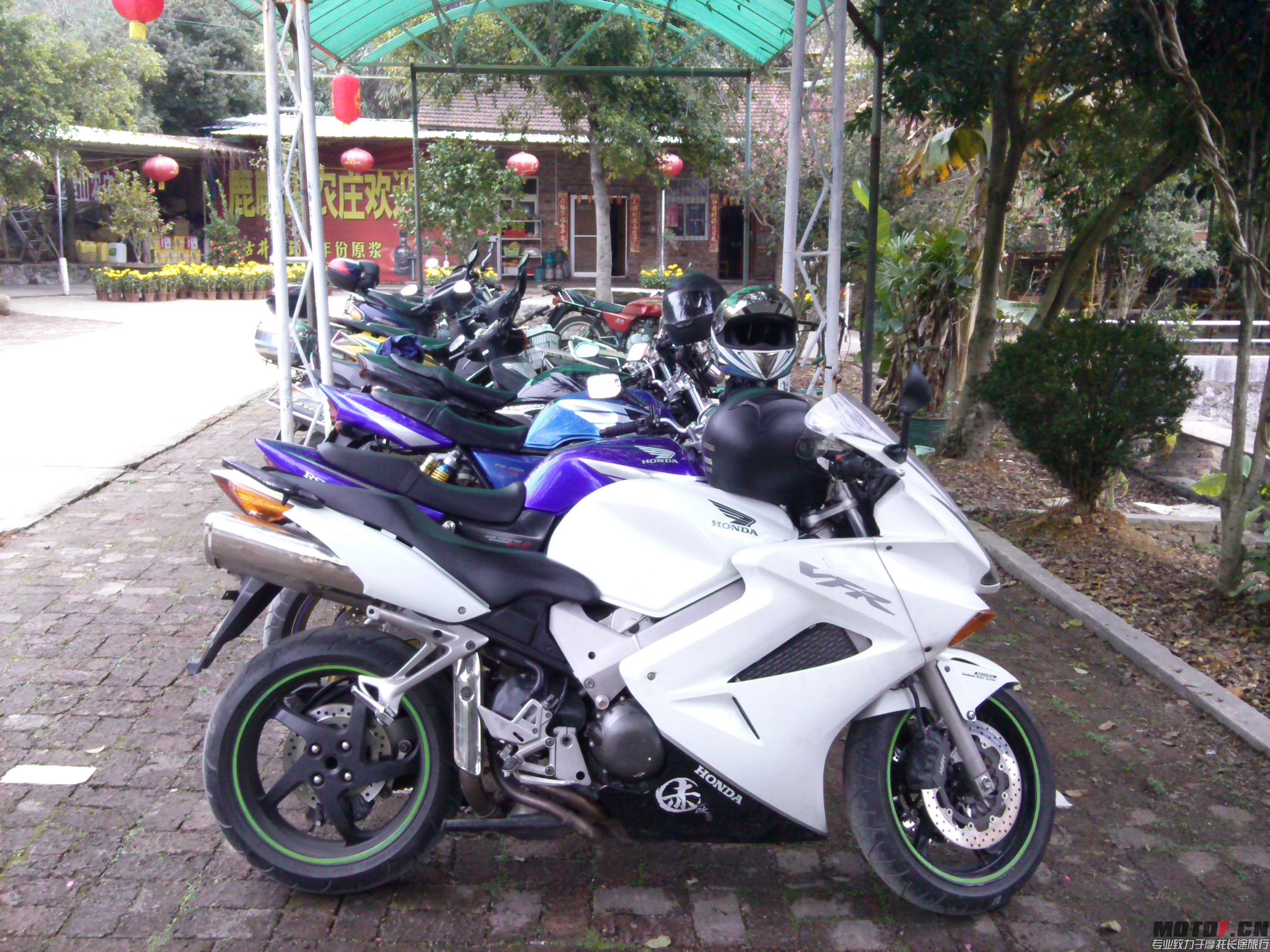 IMG_20140215_120740.jpg