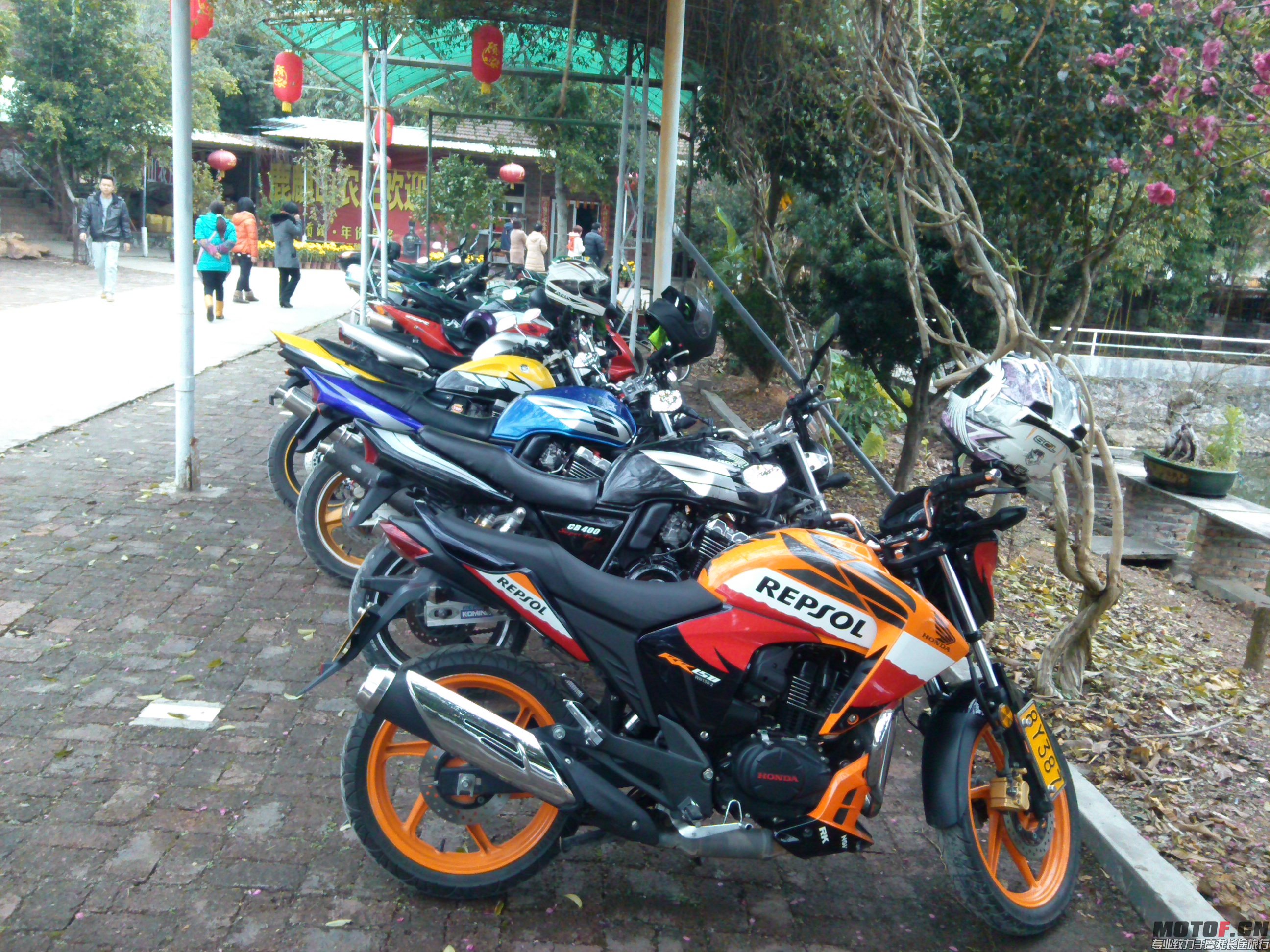 IMG_20140215_123205.jpg