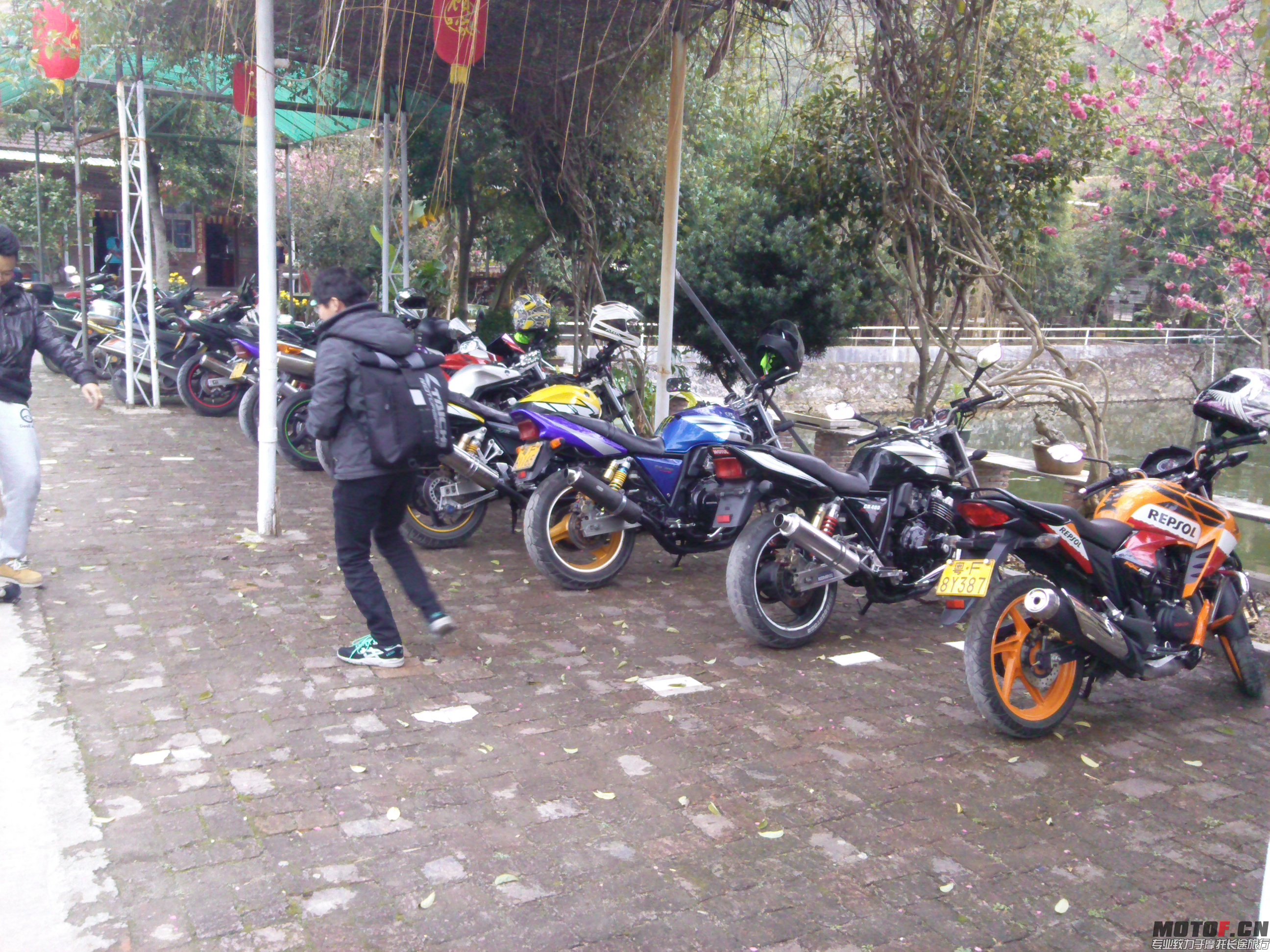 IMG_20140215_123222.jpg