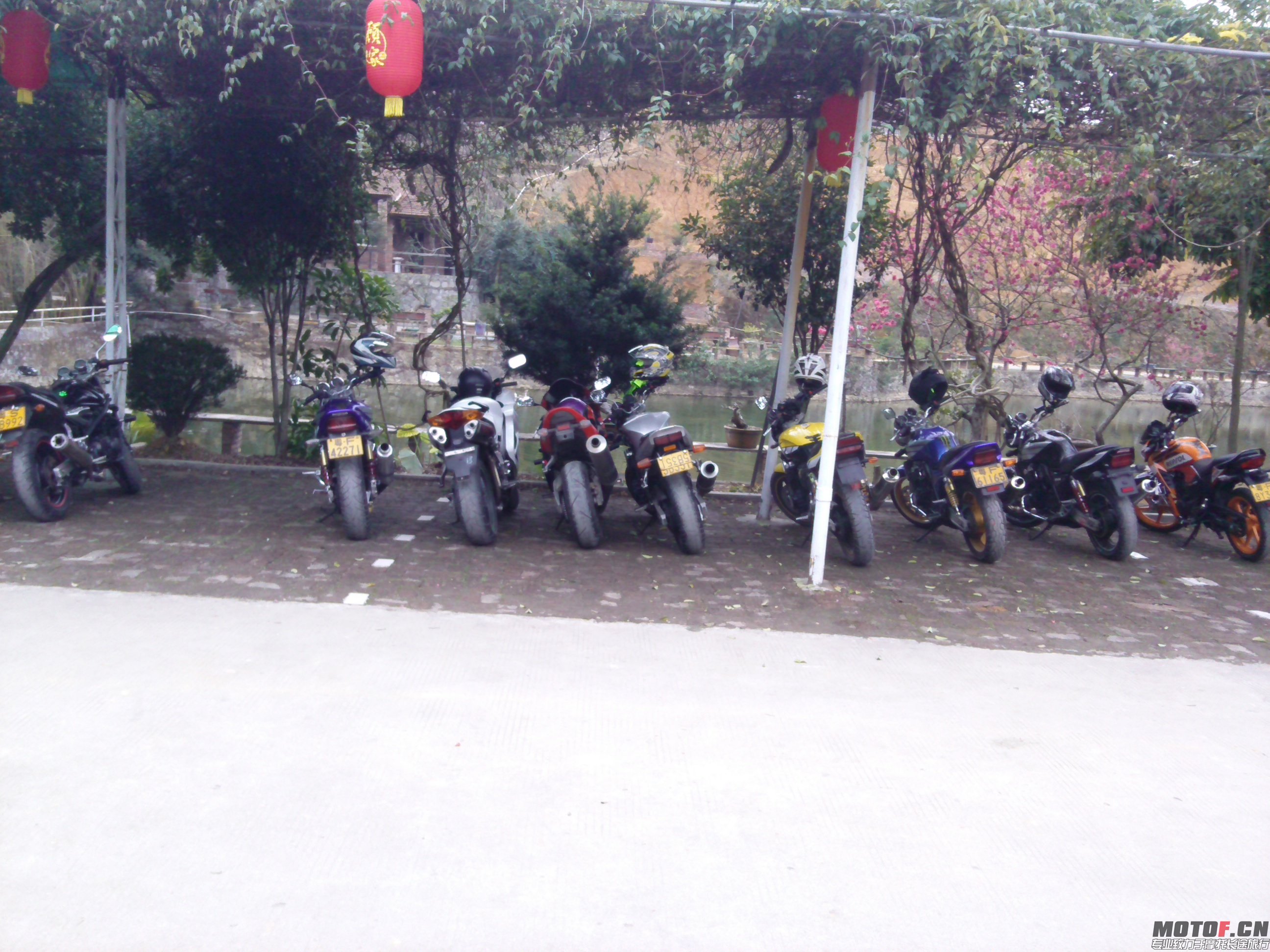 IMG_20140215_123330.jpg
