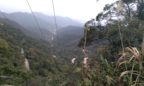 IMAG0084.jpg