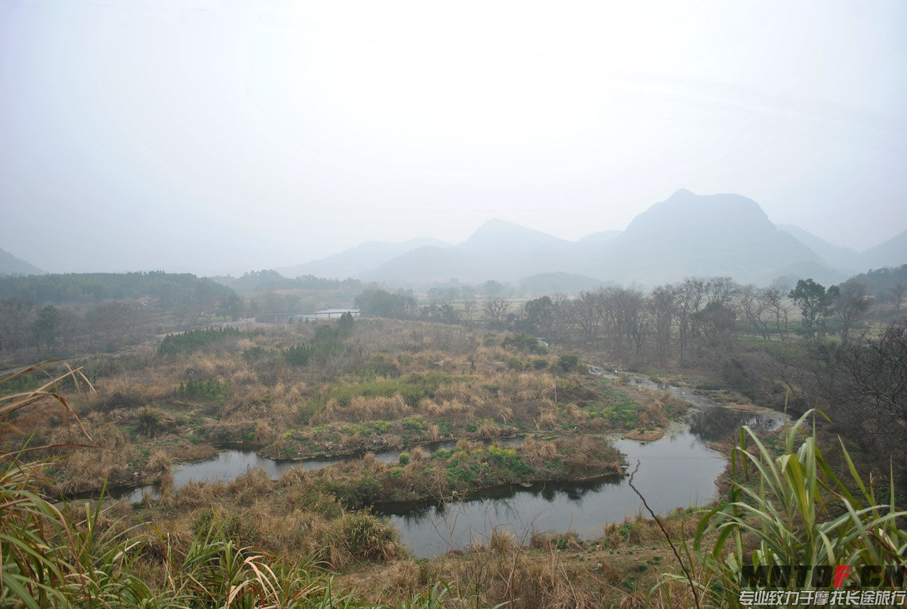 DSC_0684.jpg