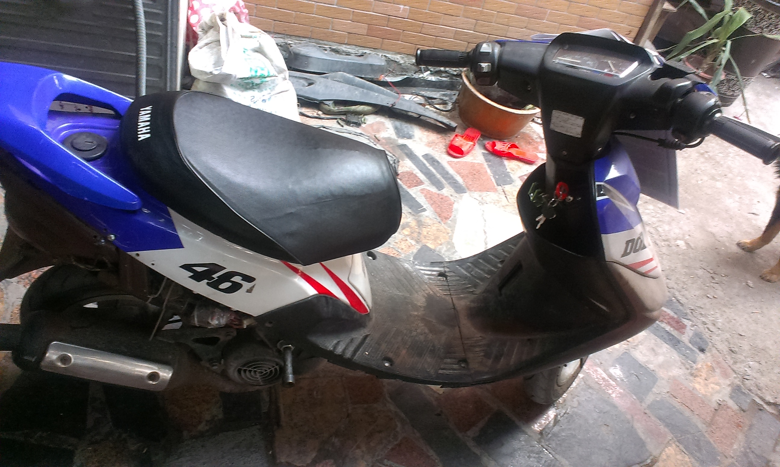 IMAG0579.jpg