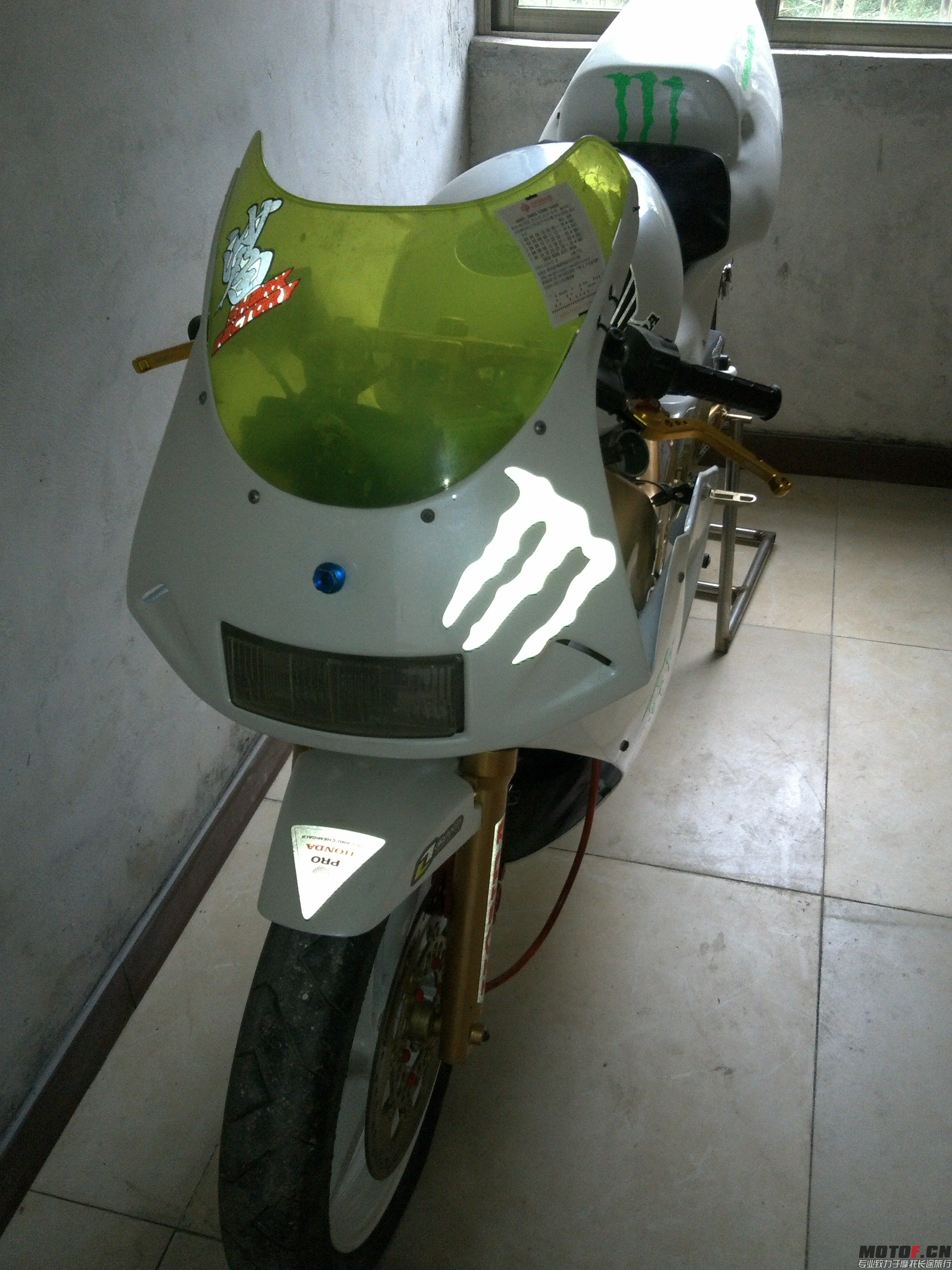 IMG568.jpg