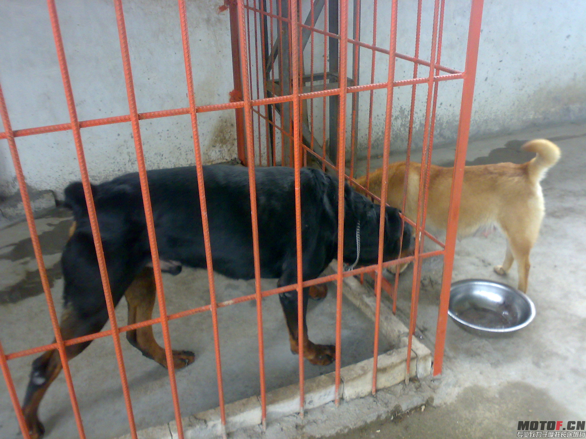 20110326060.jpg