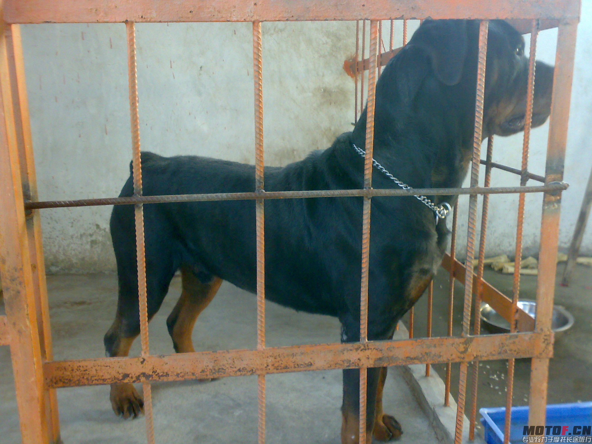 20101204024.jpg