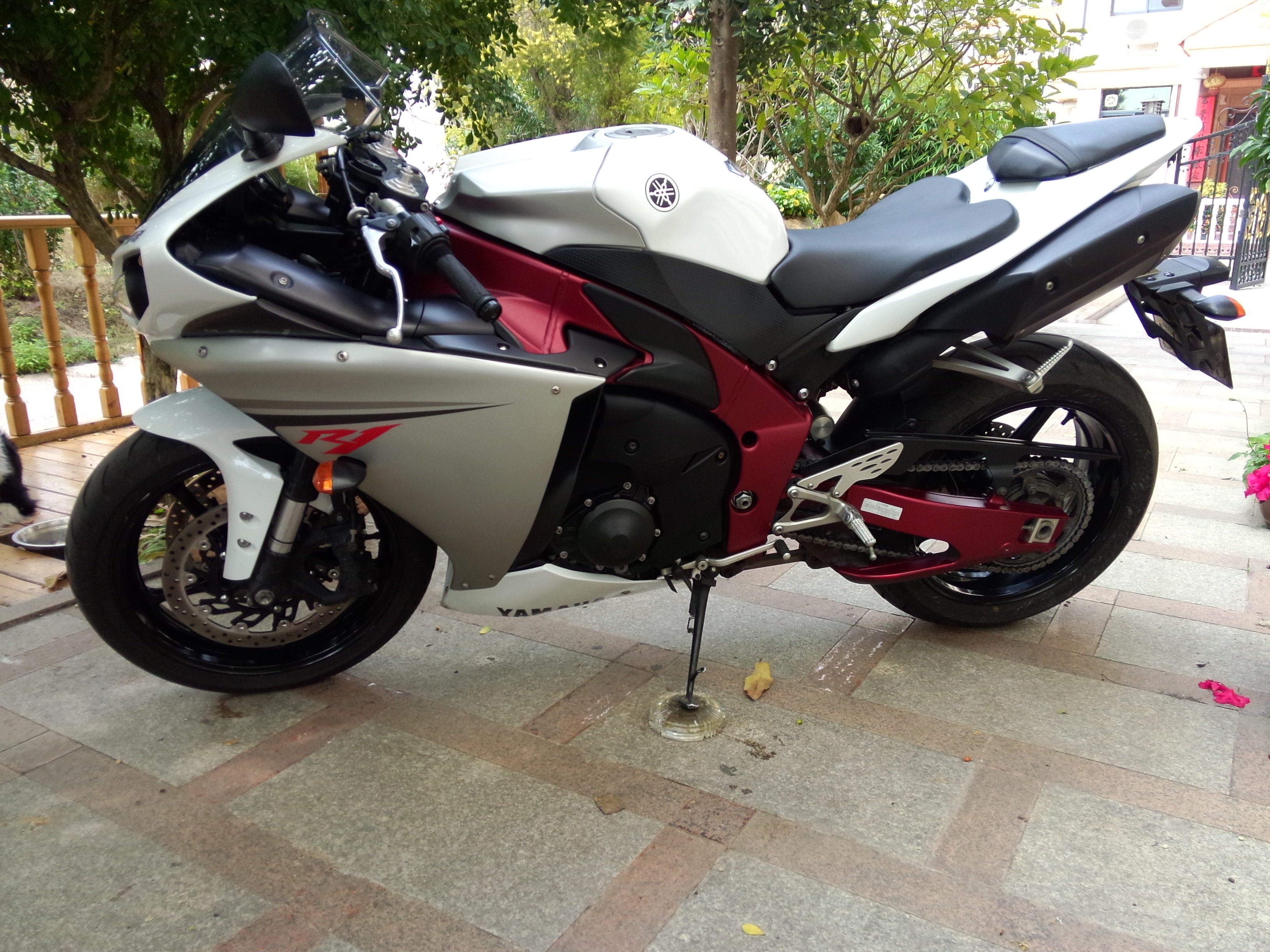 IMG20140223150342.jpg