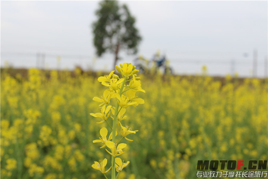 IMG_2602 - 副本.jpg
