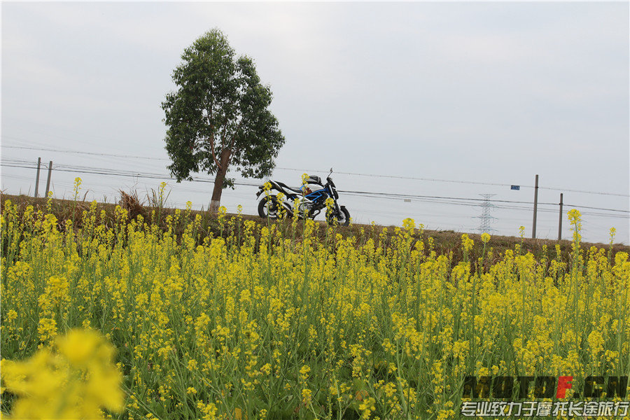 IMG_2601 - 副本.jpg