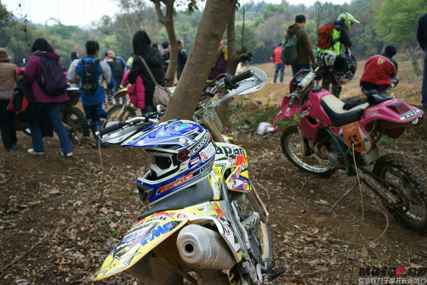 DSC00603.JPG