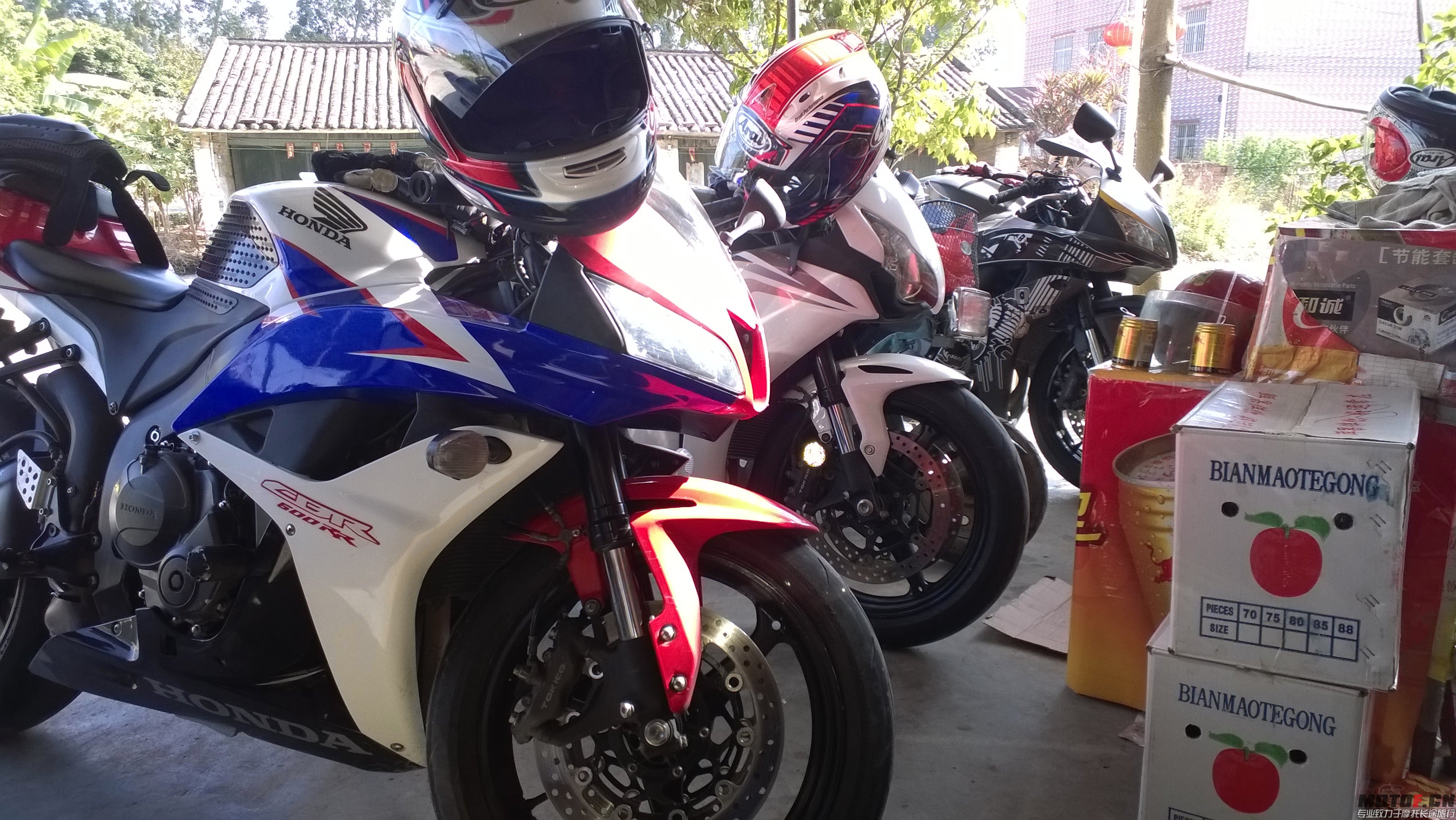 WP_20140220_001.jpg