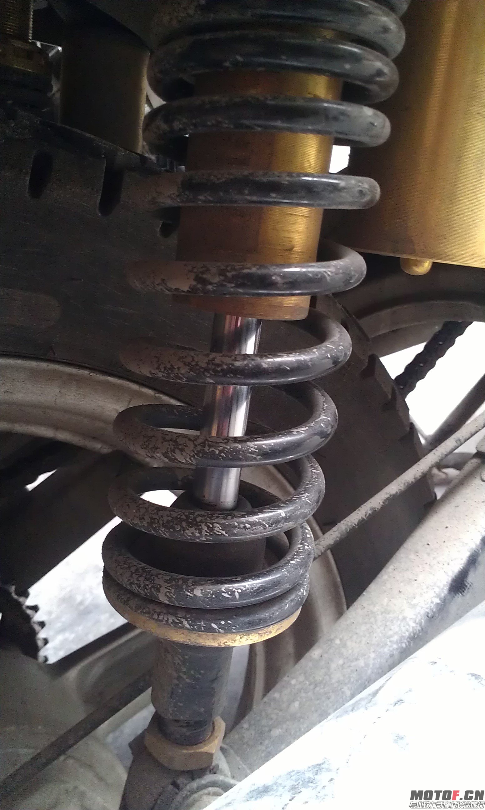 IMAG0078.jpg