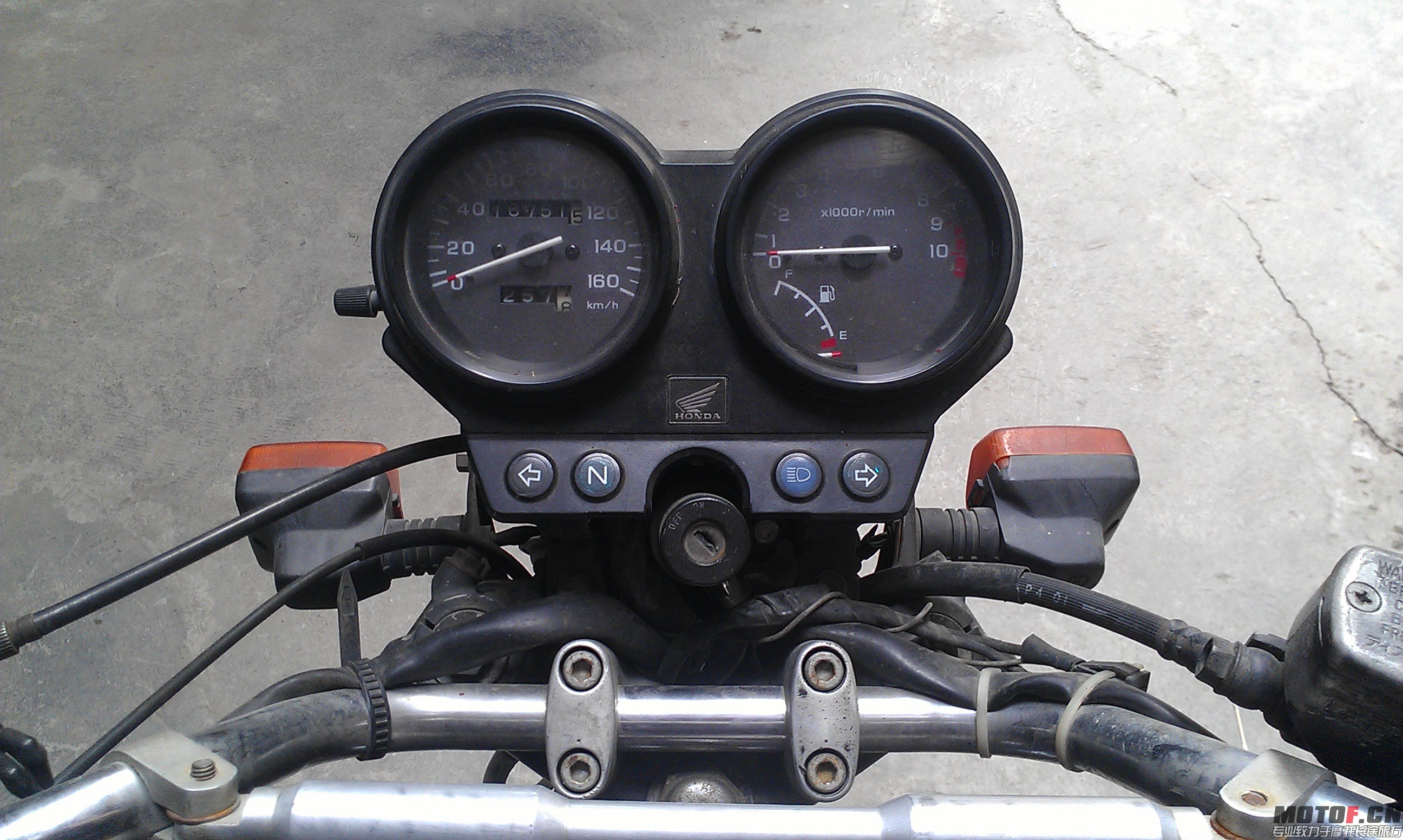 IMAG0082.jpg