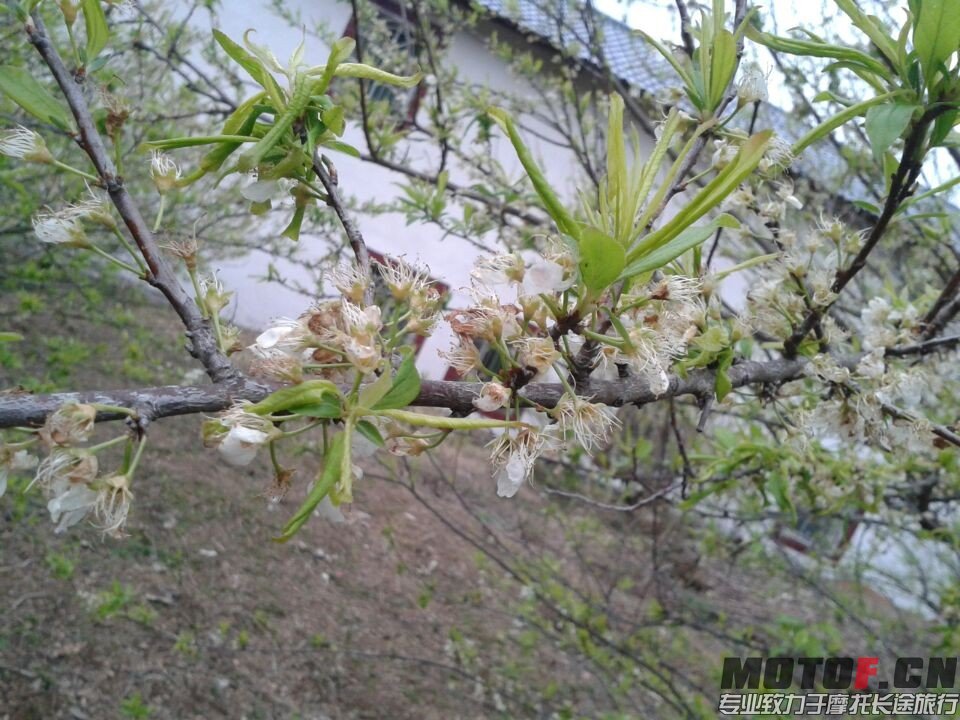 QQ图片20140302012538.jpg