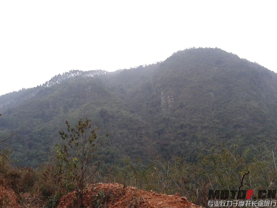 QQ图片20140302013107.jpg