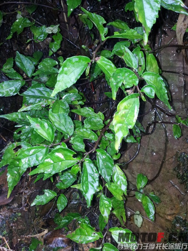 psbCA8P24B0.jpg
